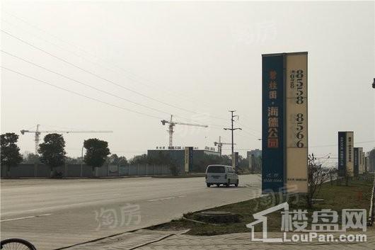 碧桂园海德公园实景图