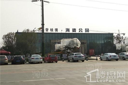 碧桂园海德公园实景图