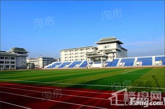蓝光乐彩城 商铺配套图