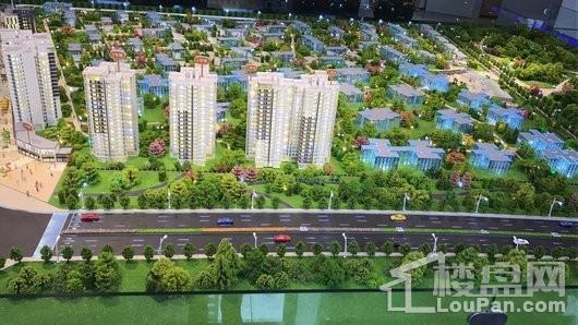 花样年智荟城实景图