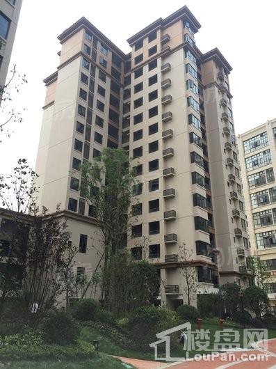 佳兆业广场实景图