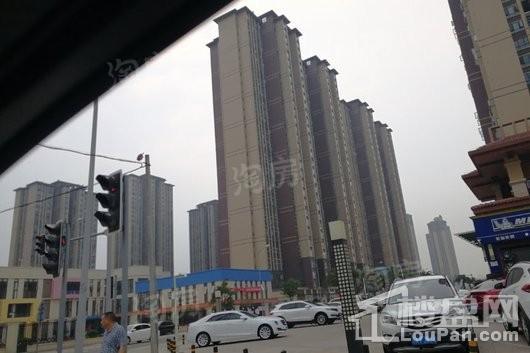 实景图