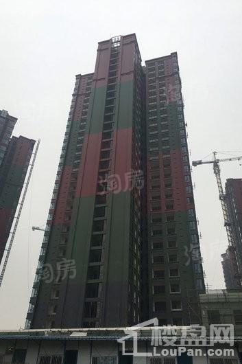 入帘青实景图