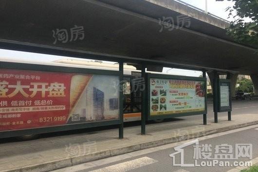 入帘青配套图