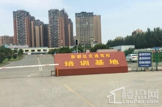 入帘青配套图