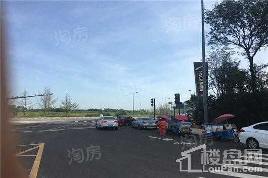 秦皇帝锦配套图