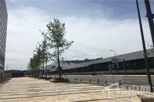 秦皇帝锦配套图