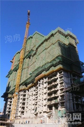 真实·桃园里实景图
