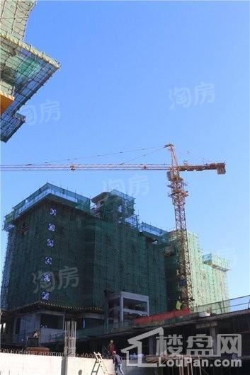 真实·桃园里实景图