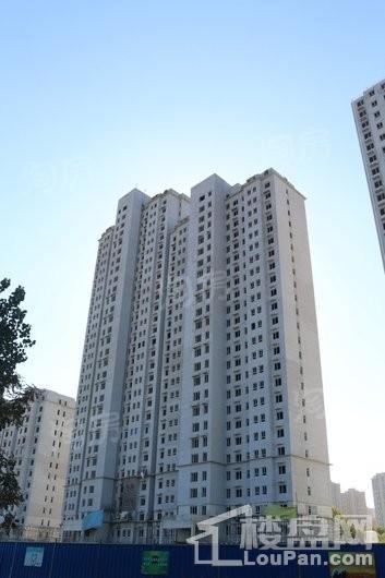 真实·桃园里实景图