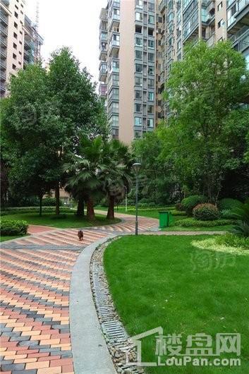 瀚城国际实景图