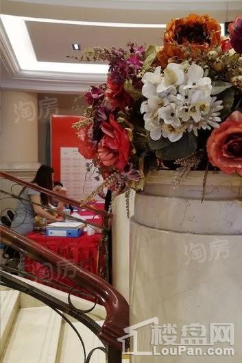 兰亭熙园实景图