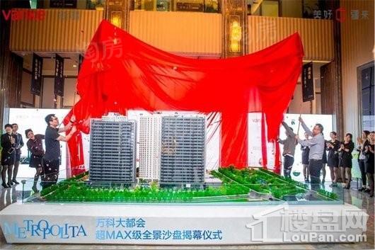 万科大都会实景图