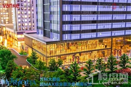 万科大都会实景图