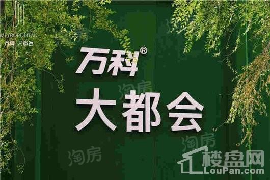 万科大都会实景图