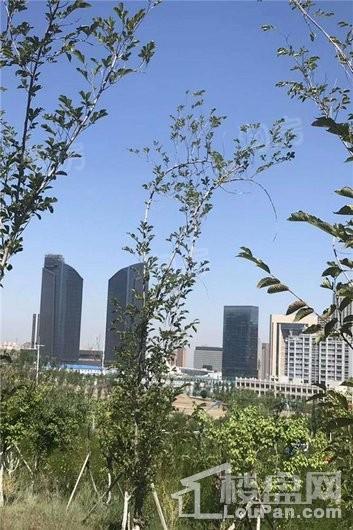 山语文庭实景图