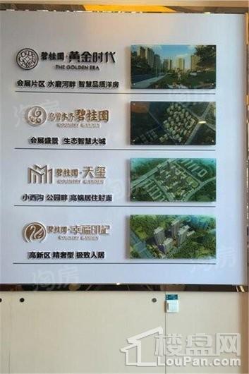 碧桂园黄金时代实景图