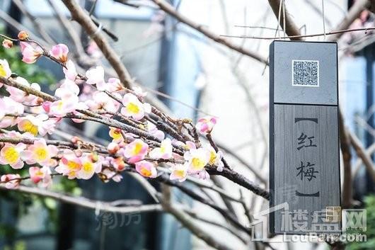万科悦达·翡翠书院实景图