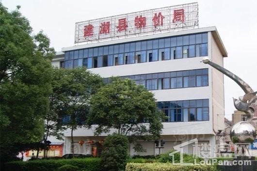 建湖碧桂园配套图