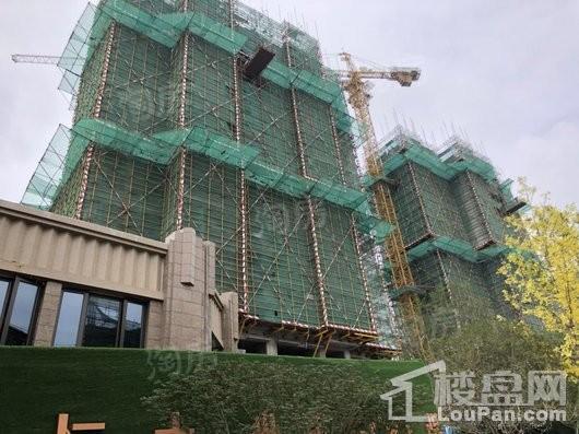 恒大御府实景图