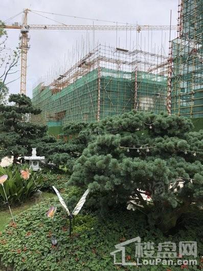 恒大御府实景图