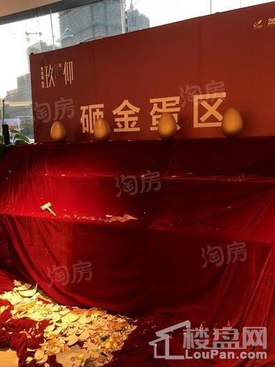 碧桂园鑫控·玖仰实景图