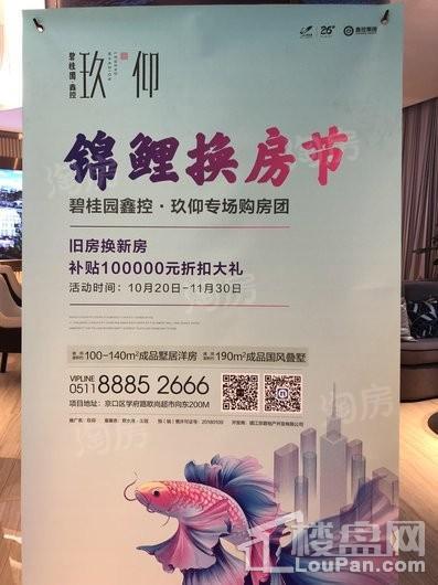 碧桂园鑫控·玖仰实景图
