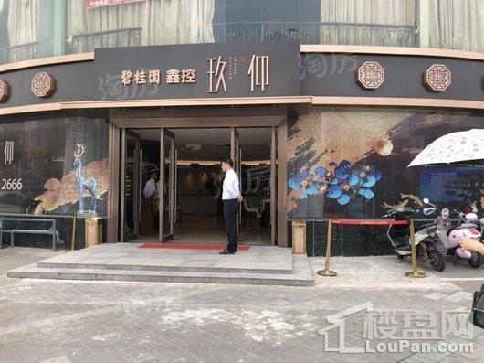 碧桂园鑫控·玖仰实景图