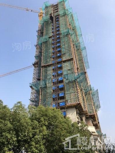 帝宝花园实景图