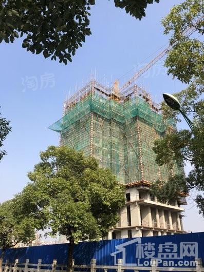 帝宝花园实景图