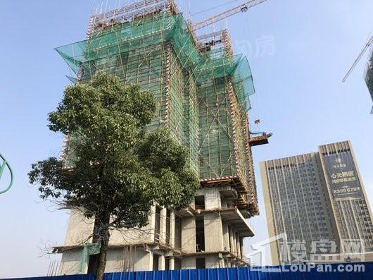 帝宝花园实景图