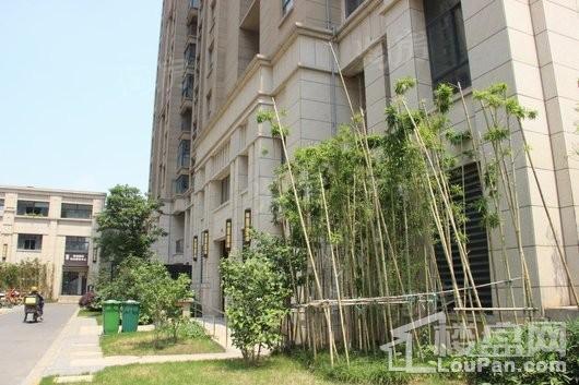 荣城藏龙御景实景图