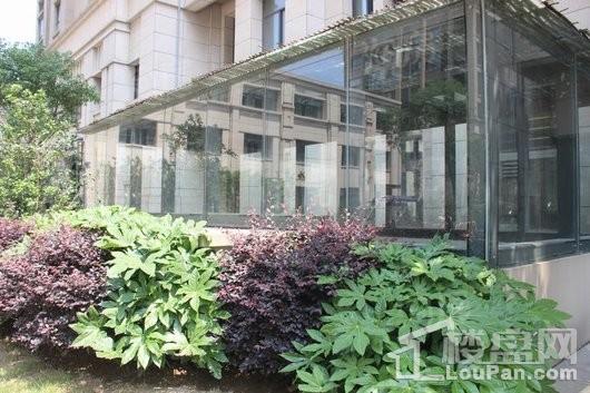 荣城藏龙御景实景图