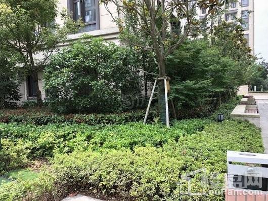 天颐城实景图