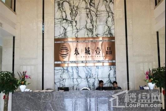东城壹品实景图