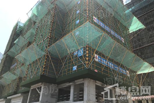 新滨湖·孔雀城实景图