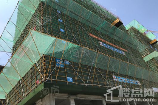 新滨湖·孔雀城实景图
