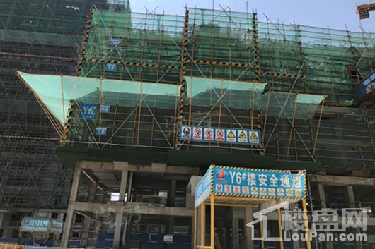 新滨湖·孔雀城实景图