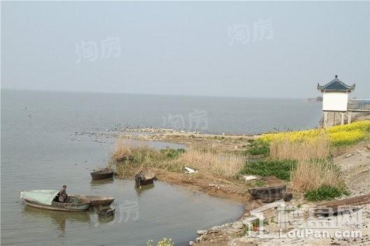 新滨湖·孔雀城配套图