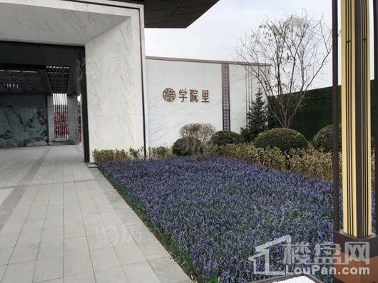 秋实·学院里实景图