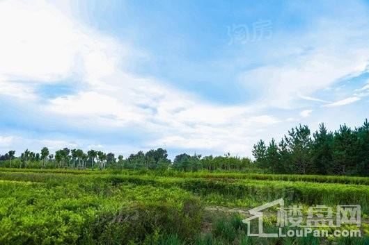 创联绿城·玖悦府配套图