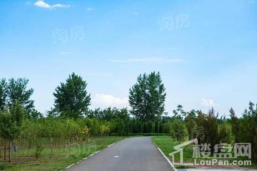 创联绿城·玖悦府配套图