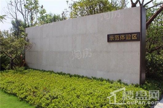 旭辉M梦想城实景图