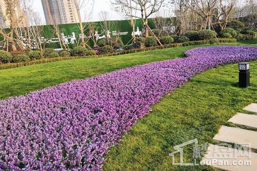 华锦苑实景图