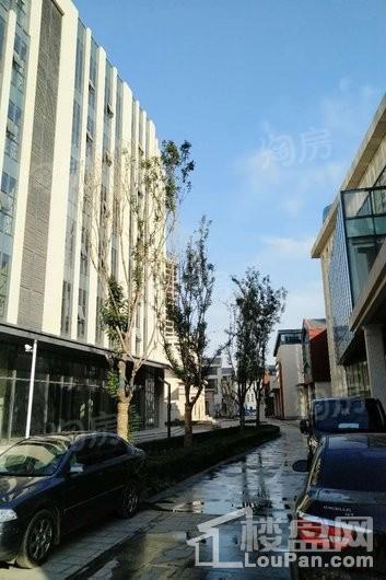 睿湖天悦实景图