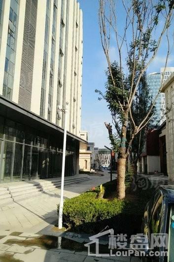 睿湖天悦实景图