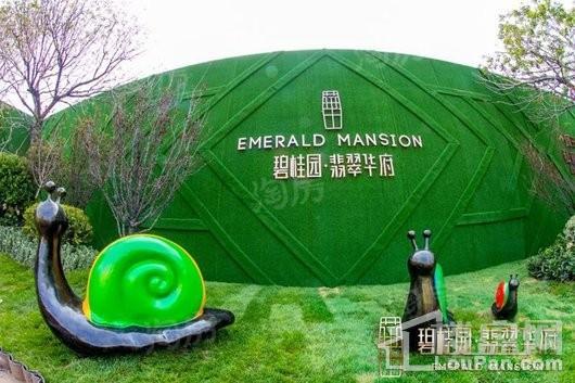 碧桂园·翡翠华府实景图