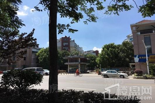 三金鑫宁府实景图