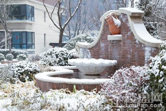 阳光揽胜·朗香实景图