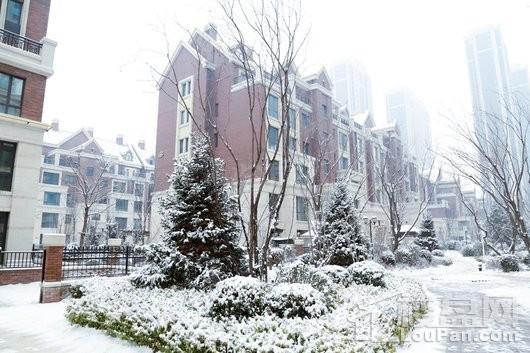 阳光揽胜·朗香实景图